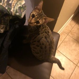 Meet your Posher, Scott